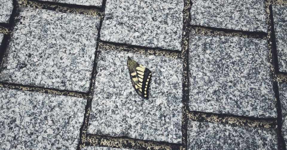 精神崩壊寸前間際 タダノボヤキ 千凪 せんなぎ Note