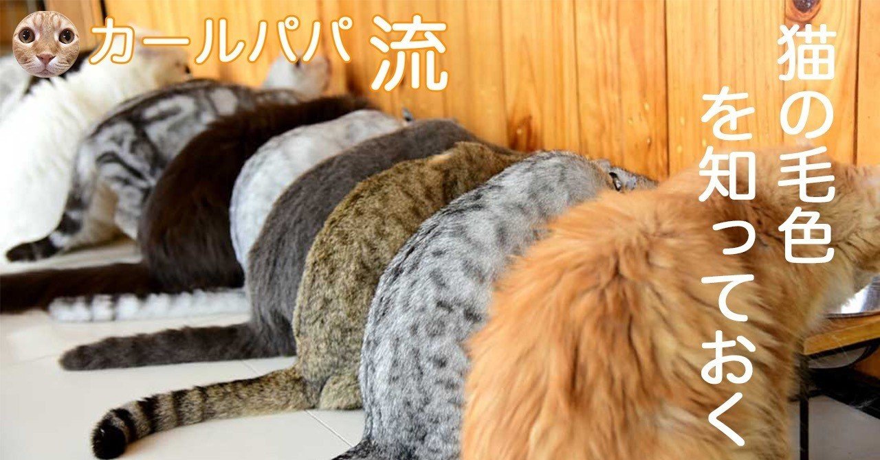 毛の色で判断されたら 往生しまっせ カールパパ Note 毛の色で判断されたら 往生しまっせ カールパパ Note