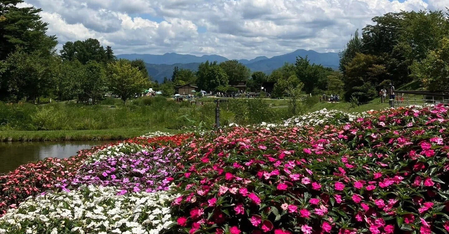 アボンリーへの道』｜─ あの島、あの時代、あの人びとに恋をして