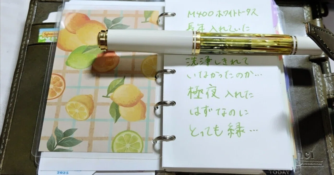 ロロマクラシックM5モルダバイト｜咲くラビット