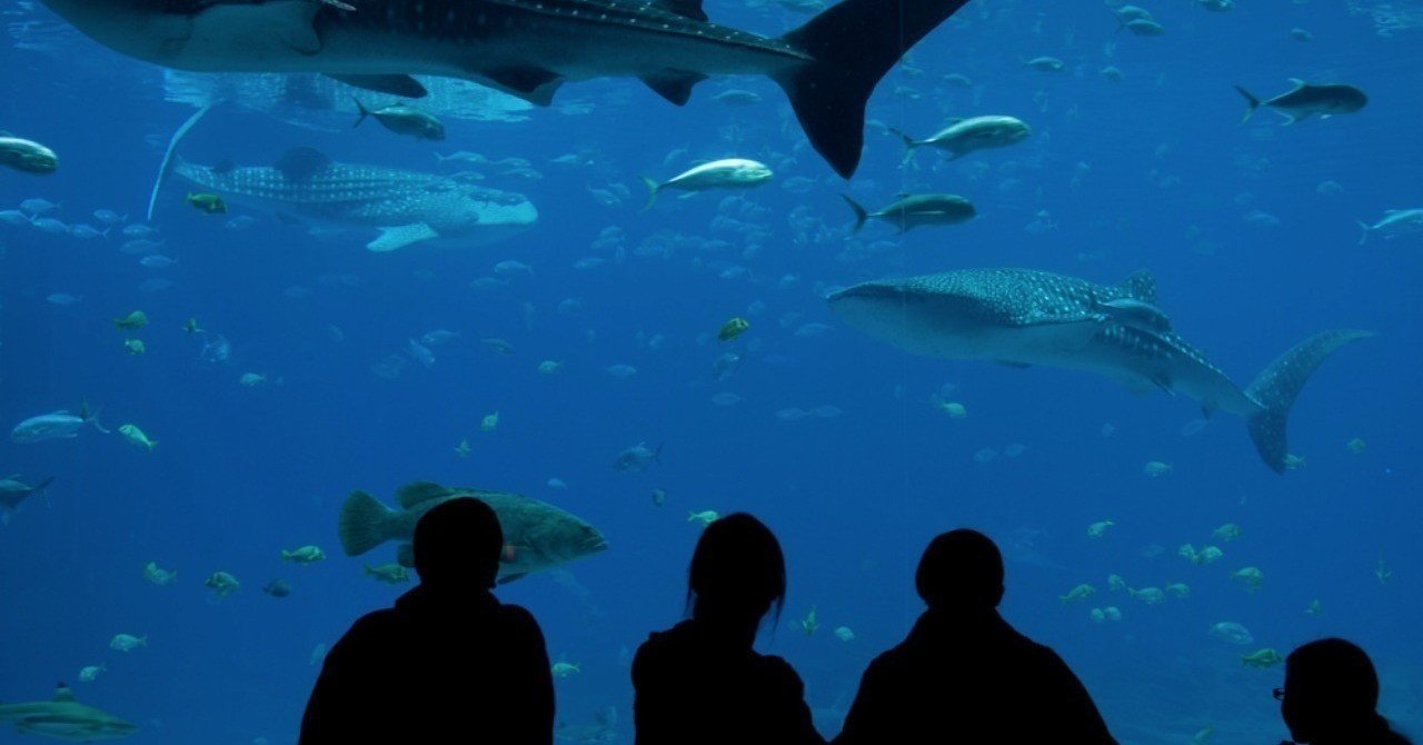 未経験でもおじさんでも即稼げる 副業で月5万円稼ぐ方法 経験談 ヤツテラ Note