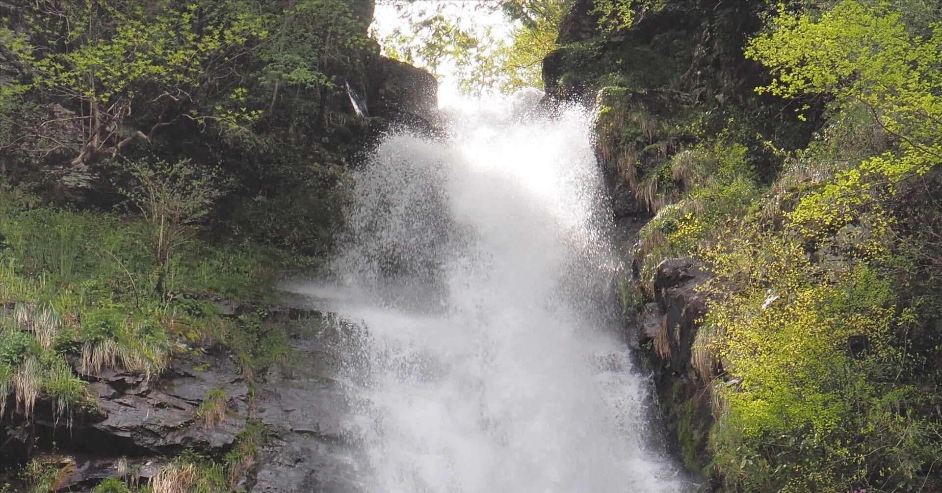 郡上白鳥の「阿弥陀ケ滝」白山信仰の霊場で涼む｜中山道雄