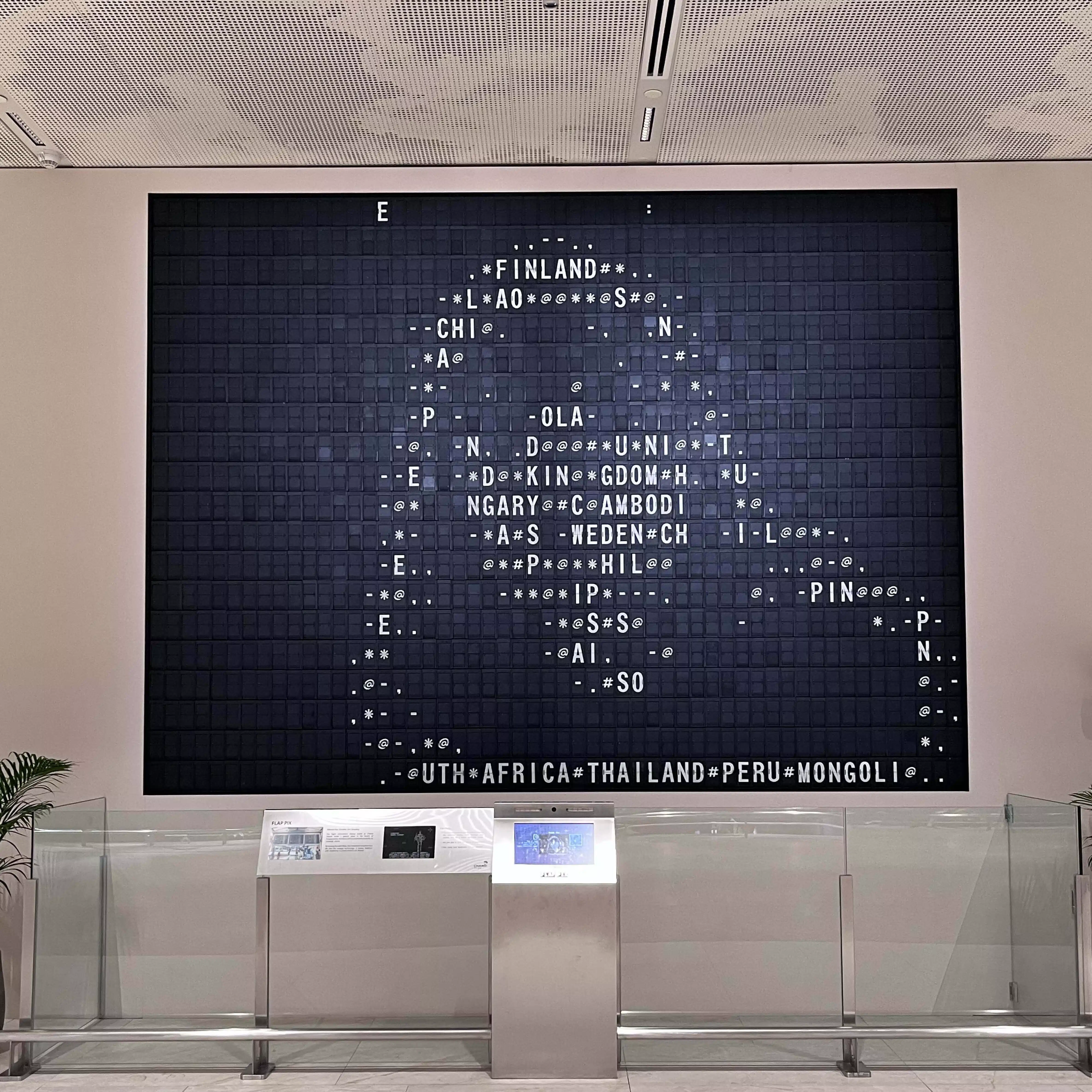 ウサギ