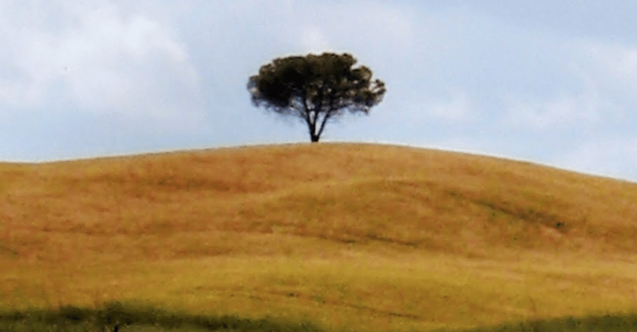 アマゾンプライムで観るフランス映画二選西願広望