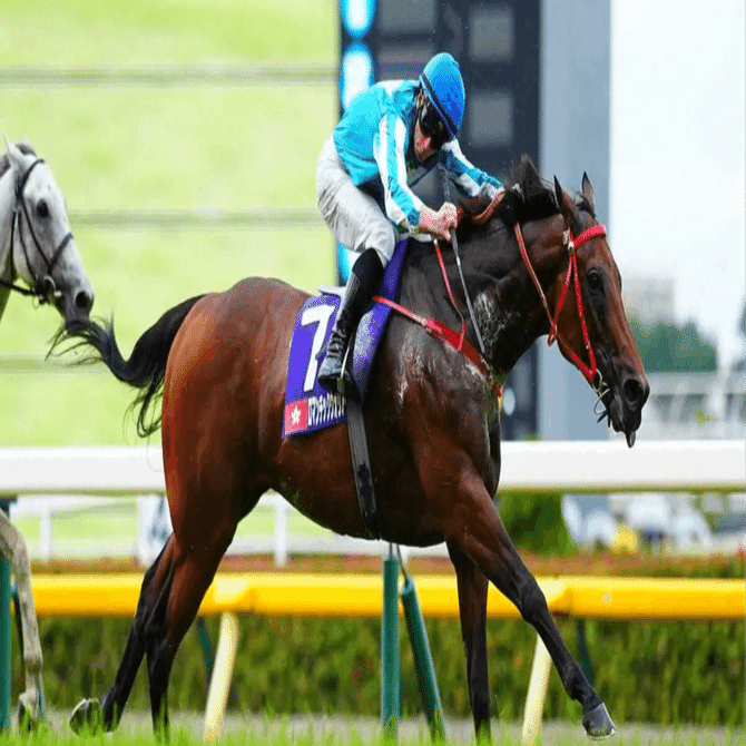 安田記念2025 予想 ～安田記念とマイルCSの違いを探る～｜かみまち