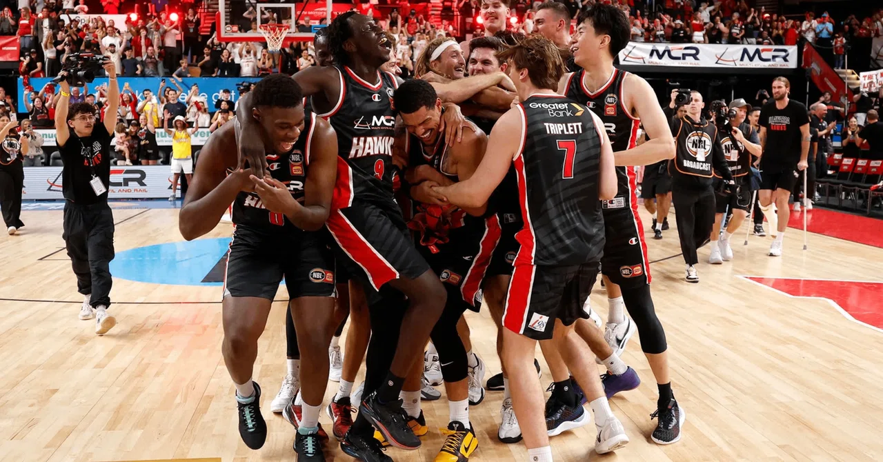 nbl バスケ