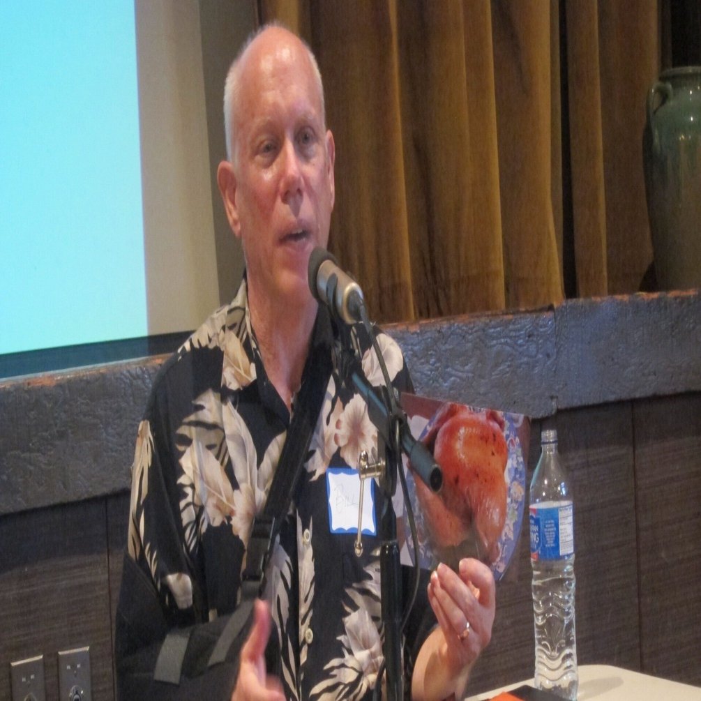 HyperCard が残したもの｜kzn