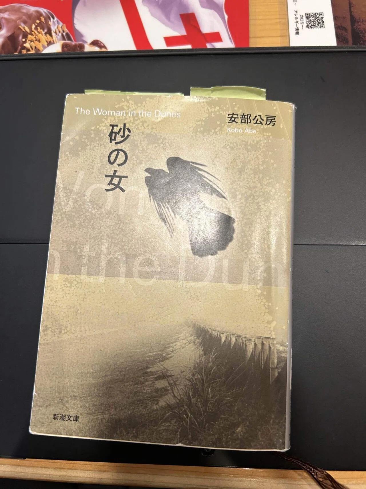 自由の両義性｜安部公房『砂の女』（読書感想文）｜ｱｯｷｬﾏ
