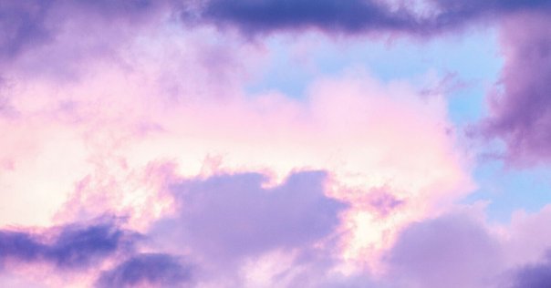 人間らしくて、いいじゃないですか 津留晃一 Amazon.co.jp: 人間らしくて、いいじゃないですか : 津留 晃一