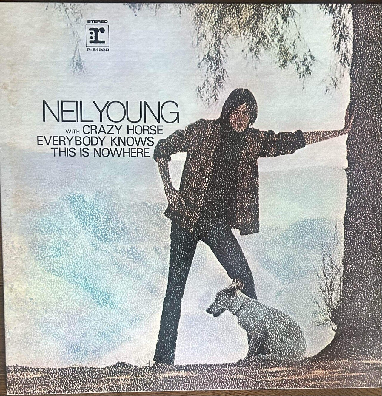 NEIL YOUNGの作品｜domus