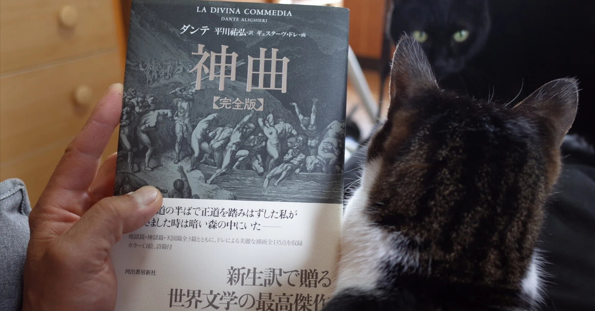 神曲」は天国篇がいい｜笠原 英二（単行本が文庫本に見える手を持つ男）