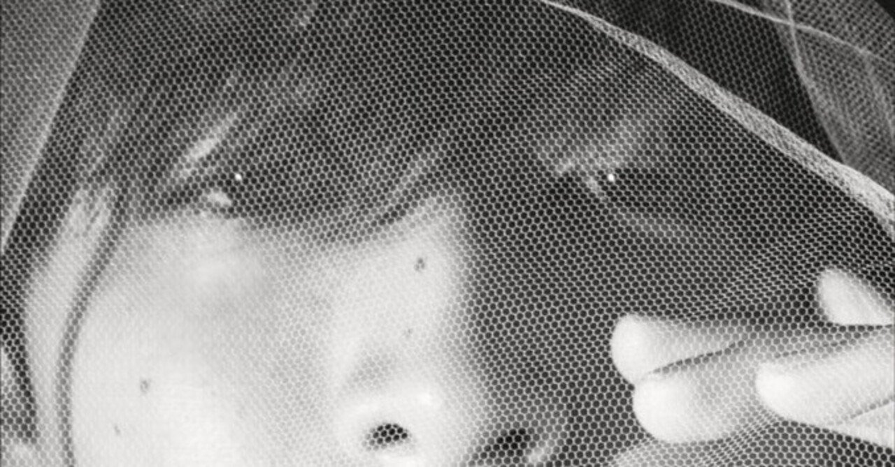 小関裕太 アーカイブブック『Y』2025年7月10日(木)発売決定！｜YOUTH