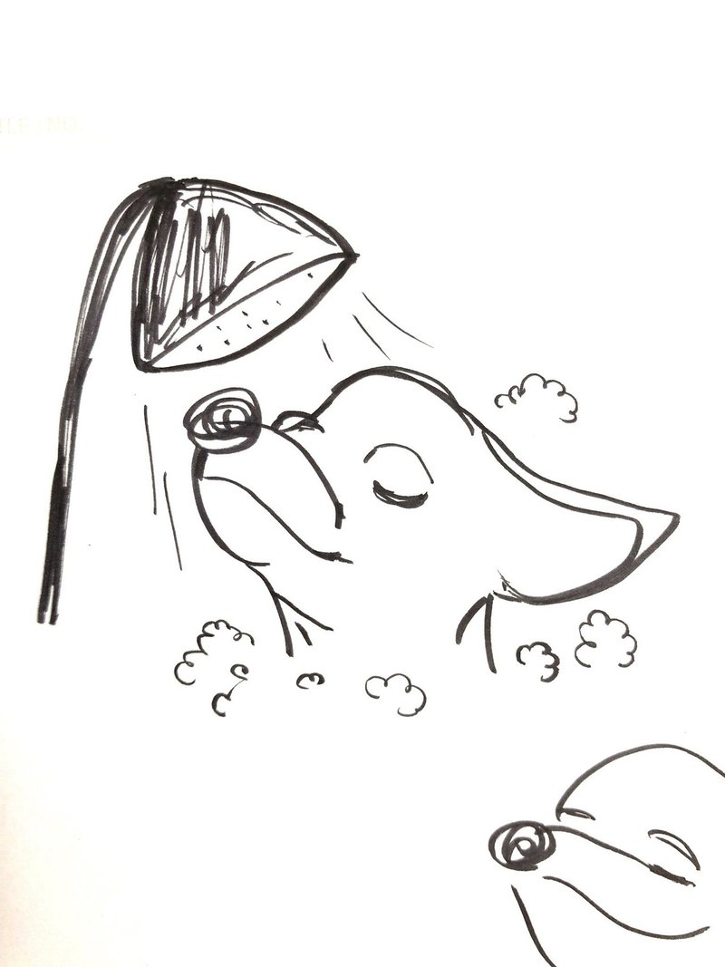 ペットサロンのイラスト案件 Zoudesign ゾウデザイン Note ペットサロンのイラスト案件 Zoudesign ゾウデザイン Note
