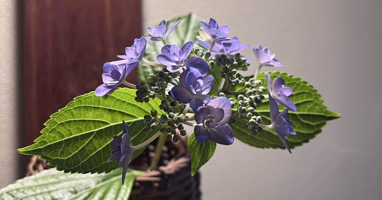 保守の精神1.】「変はらないこと」の価値：伝統と革新の健全なバランスを考へる保守主義の精神｜永瀬豊