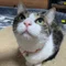 ハコの自虐人生日記