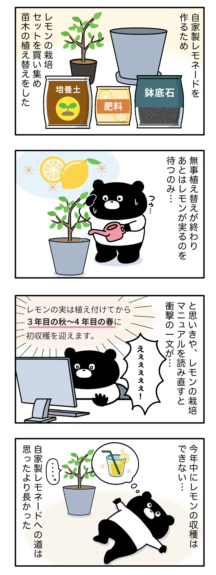 コミックエッセイ】園芸初心者のレモン栽培｜kuromaku