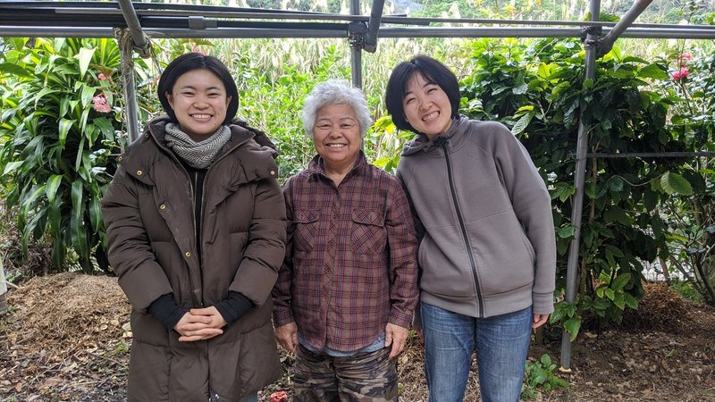 おばあちゃんのまかないメシ 沖縄編 山口祐加 自炊料理家 Note おばあちゃんのまかないメシ 沖縄編 山口祐加 自炊料理家 Note