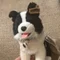ぶーちゃんの憂いの篩