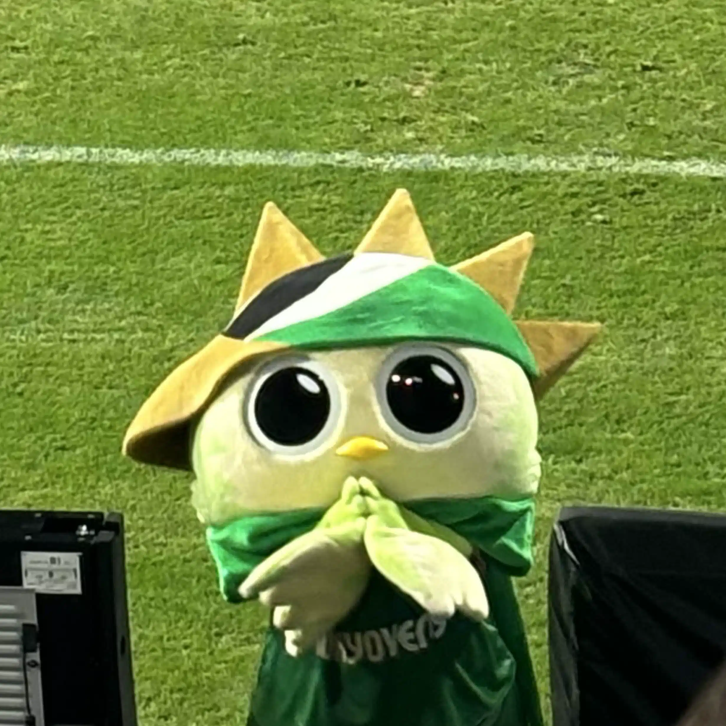 まーこ（みどりまめ）