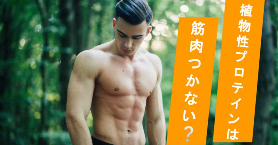 植物性プロテインは筋肉がつきにくい 動物性プロテインとの比較 Anoma Note