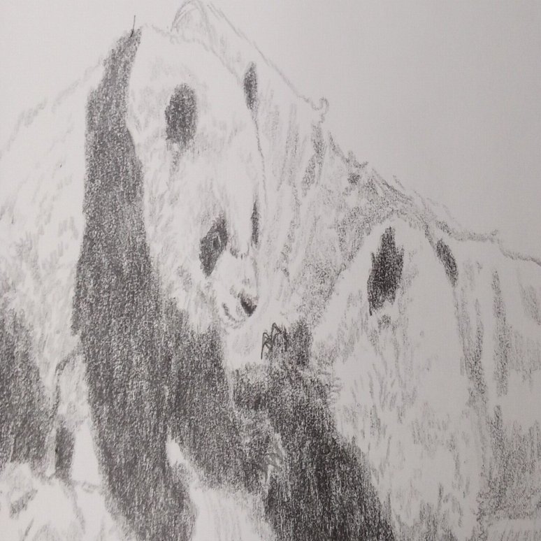 パンダデッサン練習第7週 6/8-6/14｜こひろ@こぎん刺しのテディベア