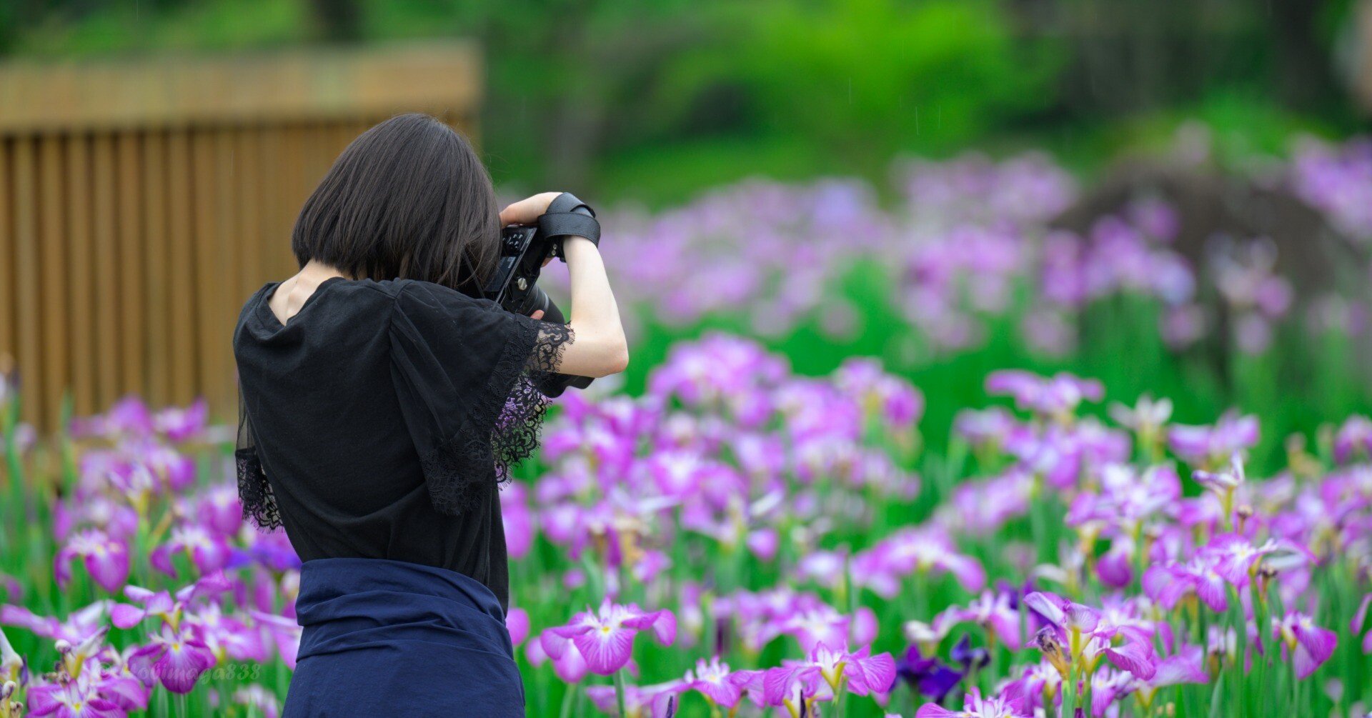 家族で色んなカメラを使って写真を楽しむ｜ほびマガ