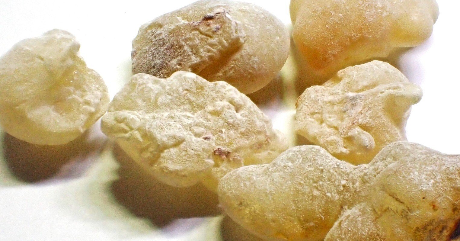 ボスウェリアを語るならまずこれ読むべし｜pseudobotanistoides