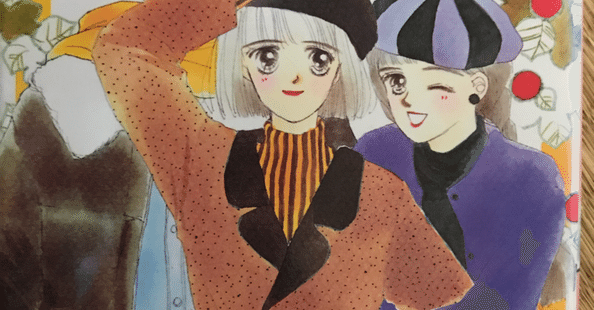 つかまえてシリーズ　29冊　秋野ひとみ 秋野ひとみ作「つかまえてシリーズ」全巻レビュー｜千紘｜note
