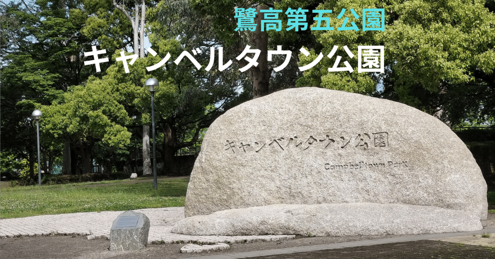 ㉓公園の樹木、名前わかりますか？ ⇒トウカエデ｜katashito