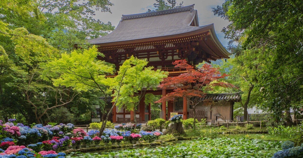 あじさゐ回廊2025 室生寺｜KATSUMI