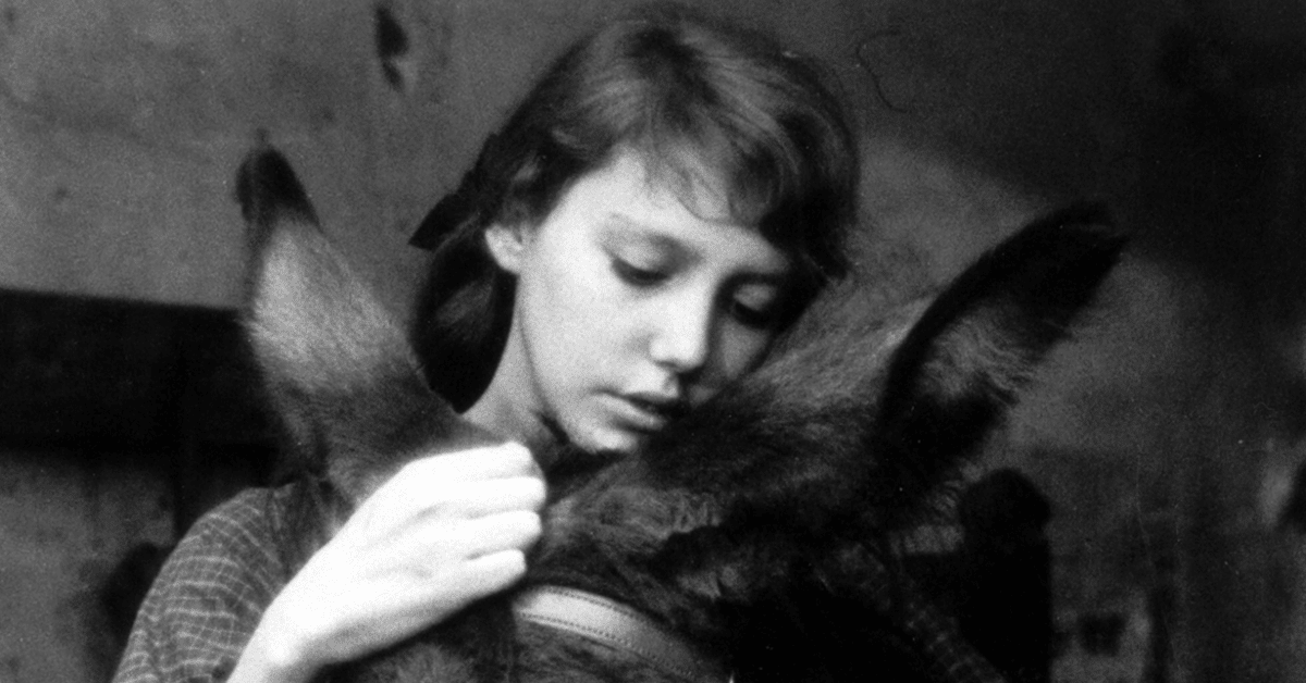 バルタザールどこへ行く('66仏/スウェーデン)Blu-ray ブルーレイ