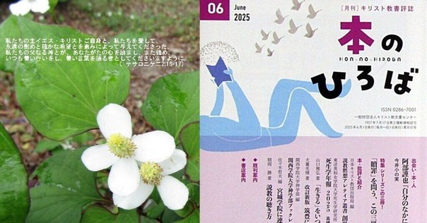 カトリック教会文書資料集 : 信経および信仰と道徳に関する定義
