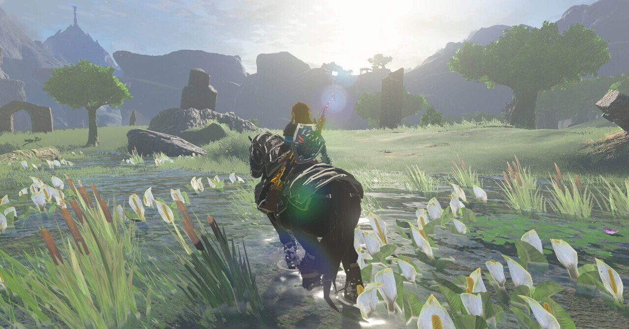 Amazon.co.jp: ゼルダの伝説 ティアーズ オブ ザ キングダム