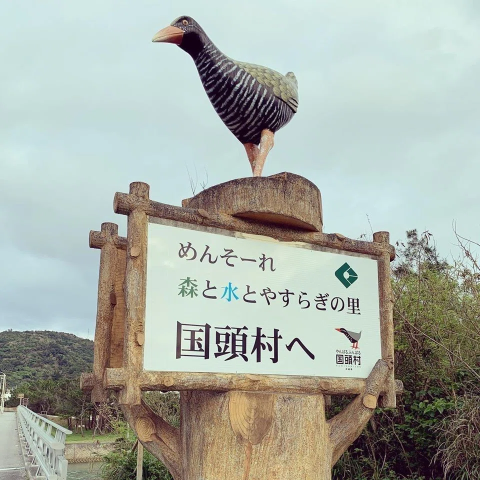 妖怪ウォッチワールド 】沖縄本島一周してみた 2日目③大宜味村 国頭村