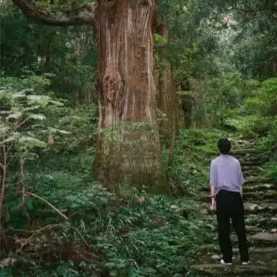 冬山登山