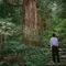 冬山登山