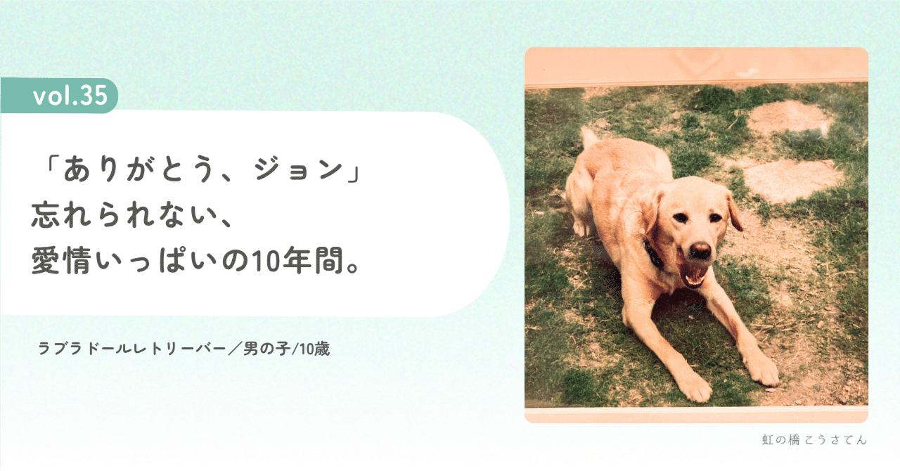 Vol.35│「ありがとう、ジョン」忘れられない、愛情いっぱいの10年間。｜虹の橋こうさてん, image size:1280x670