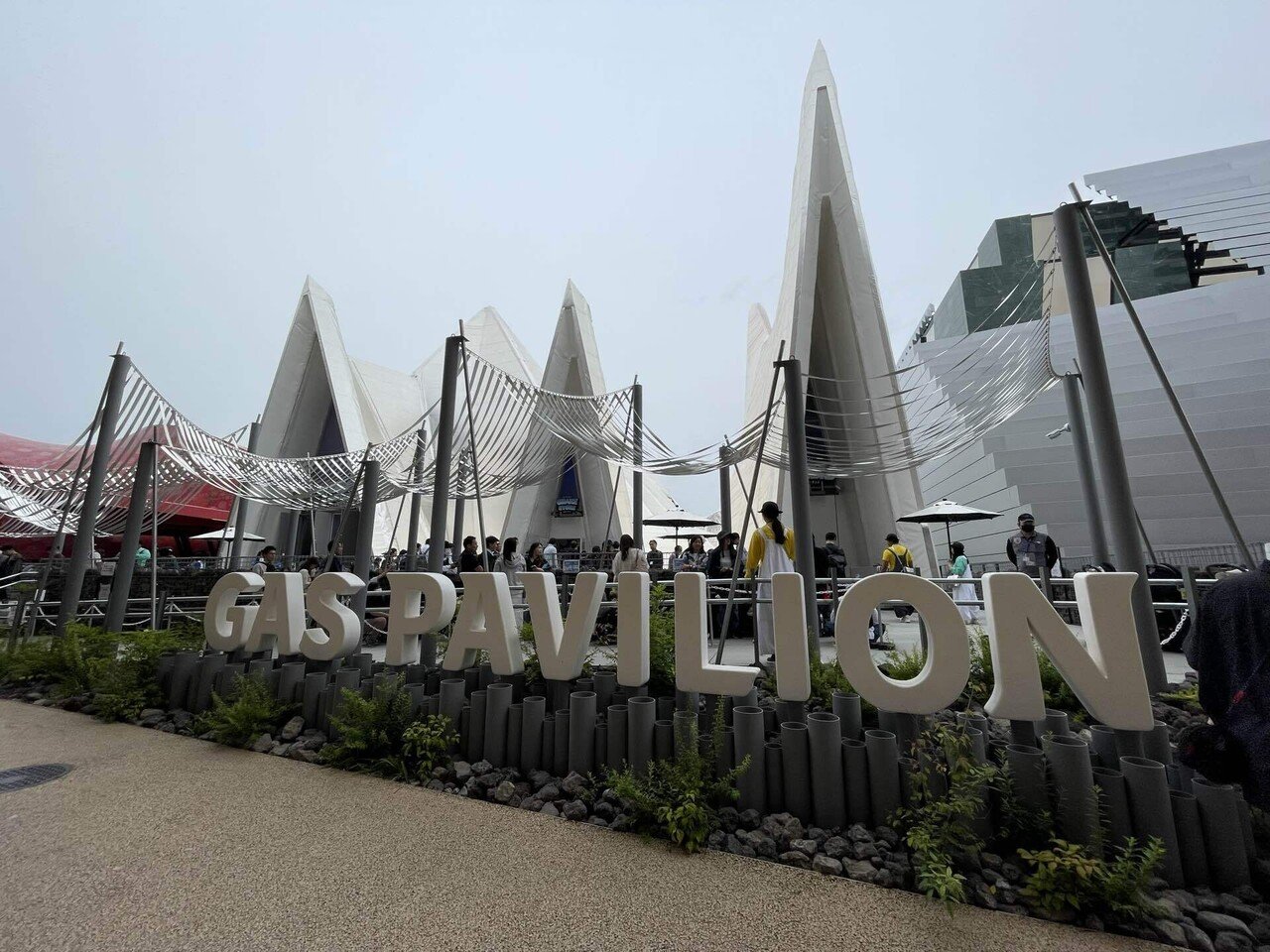 かばお君 CpgzXx3VYAQ8zQl.jpg?format=jpg