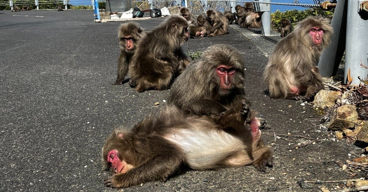 屋久島 2日がかりツーリング｜こうへい