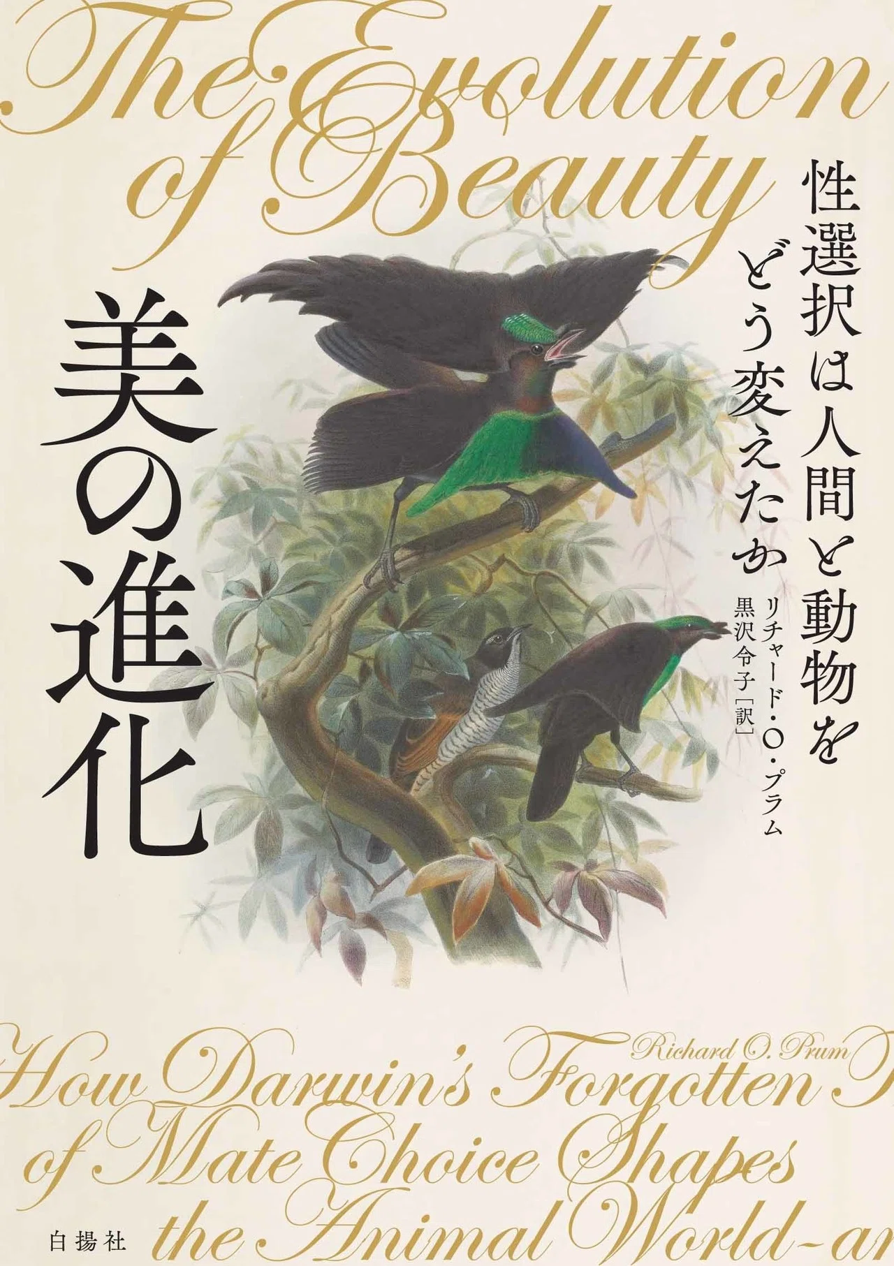 ジャレド・ダイアモンド絶賛の話題書『美の進化』試し読みです｜白揚社