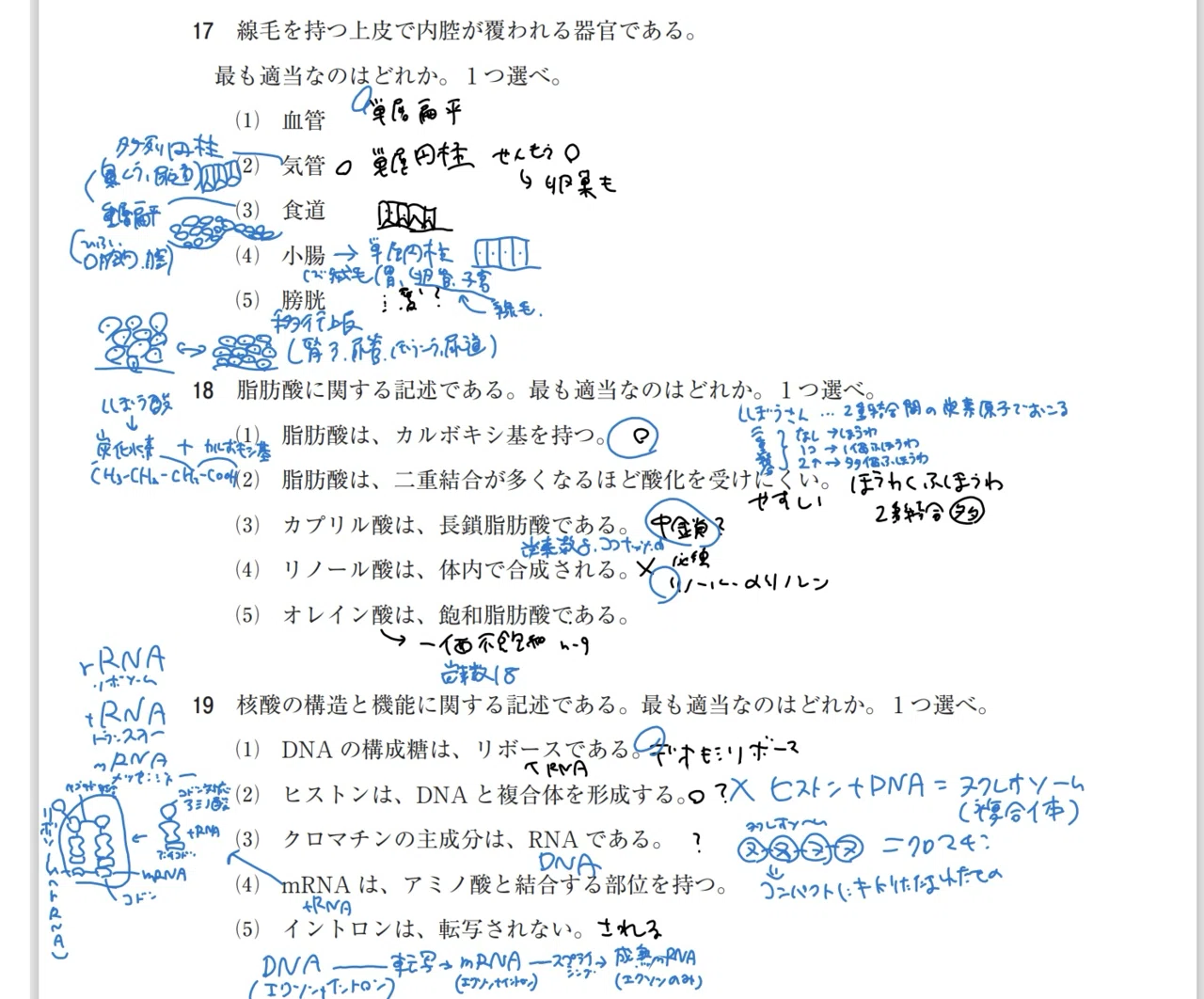 既卒社会人、管理栄養士国家試験＂合格＂までの道のり~Vol.4~過去問