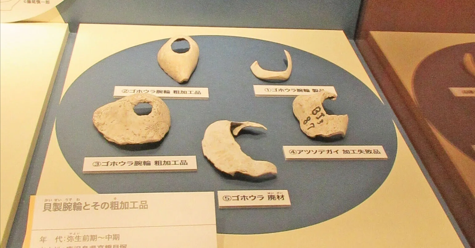 第5章 南の島の人々：特別展「古代DNA－日本人のきた道－」見聞録 その 