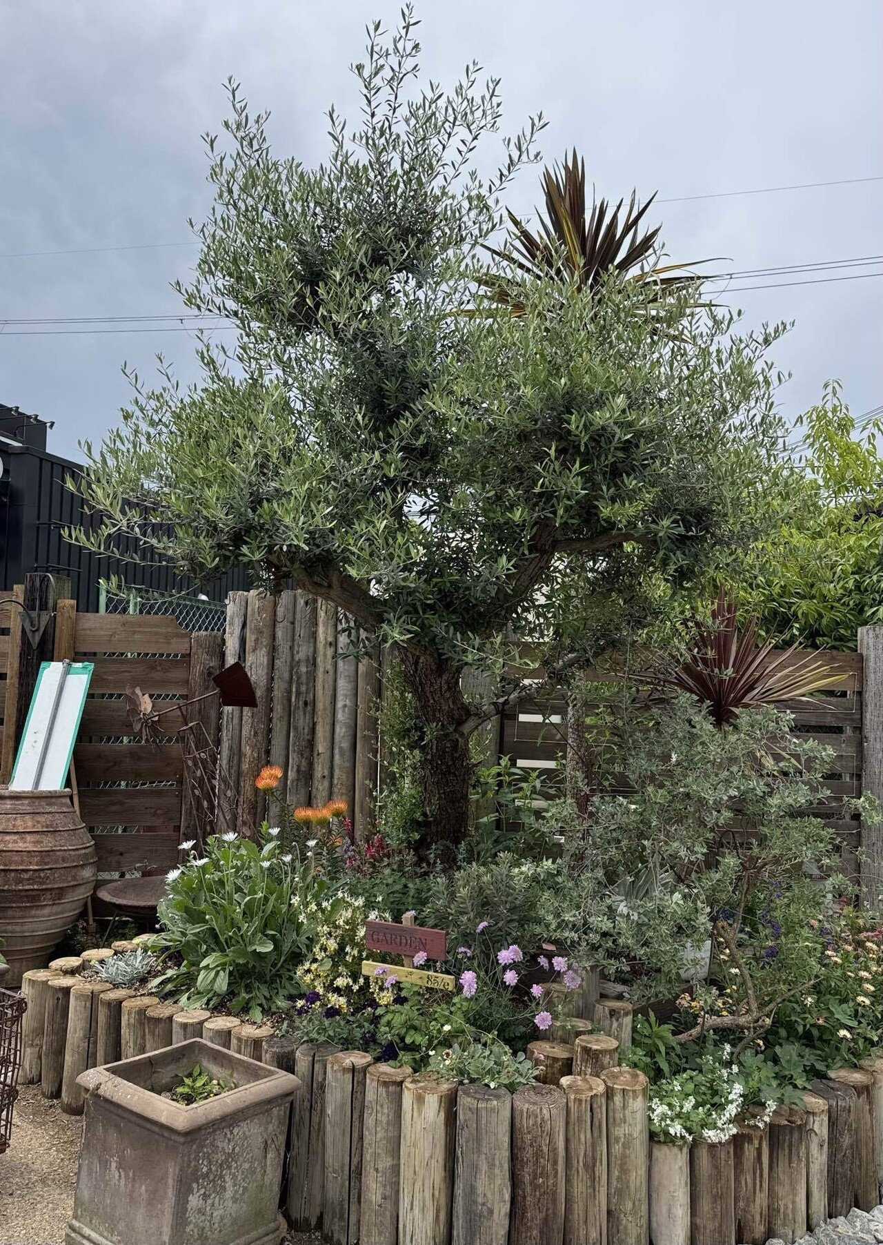 ガーデニング2025夏〜秋｜さやぷ