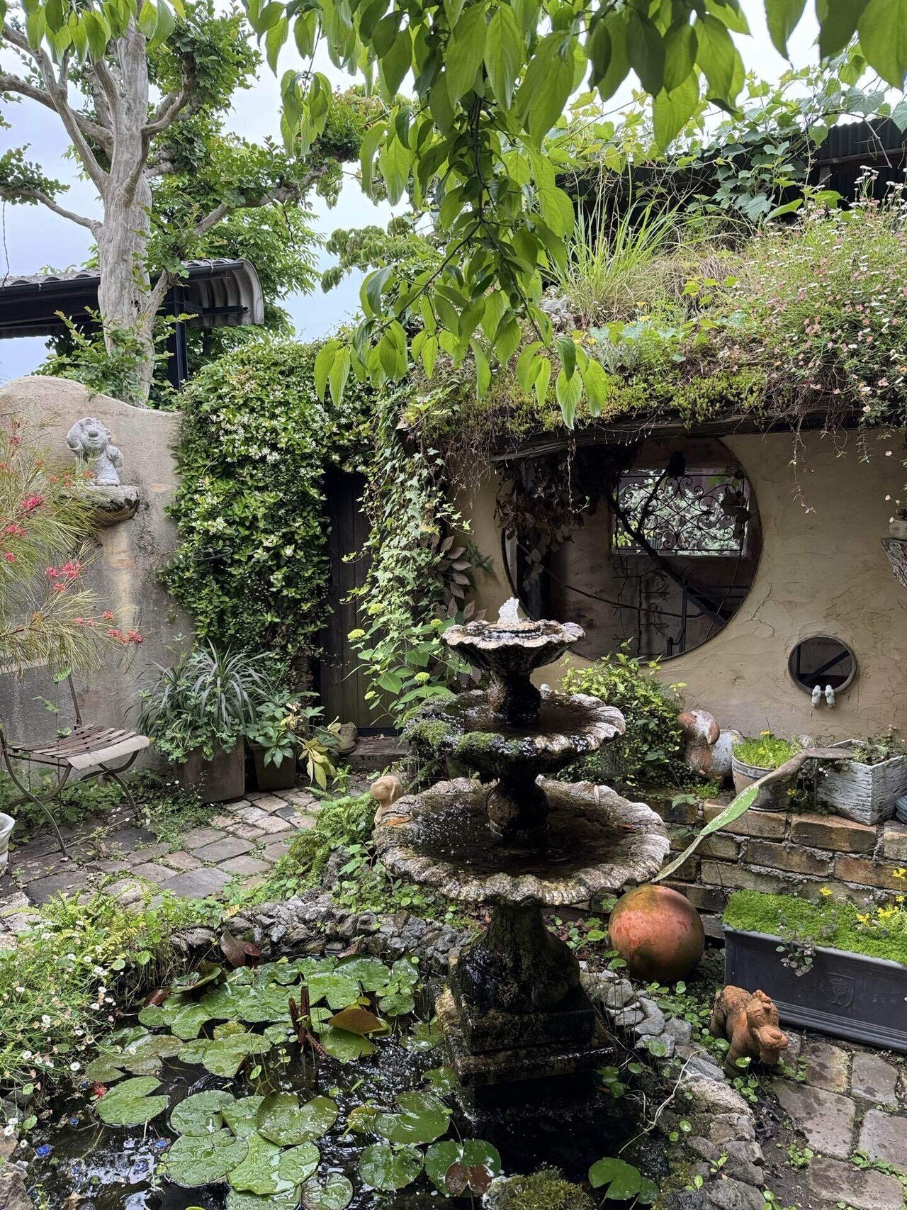 ガーデニング2025夏〜秋｜さやぷ