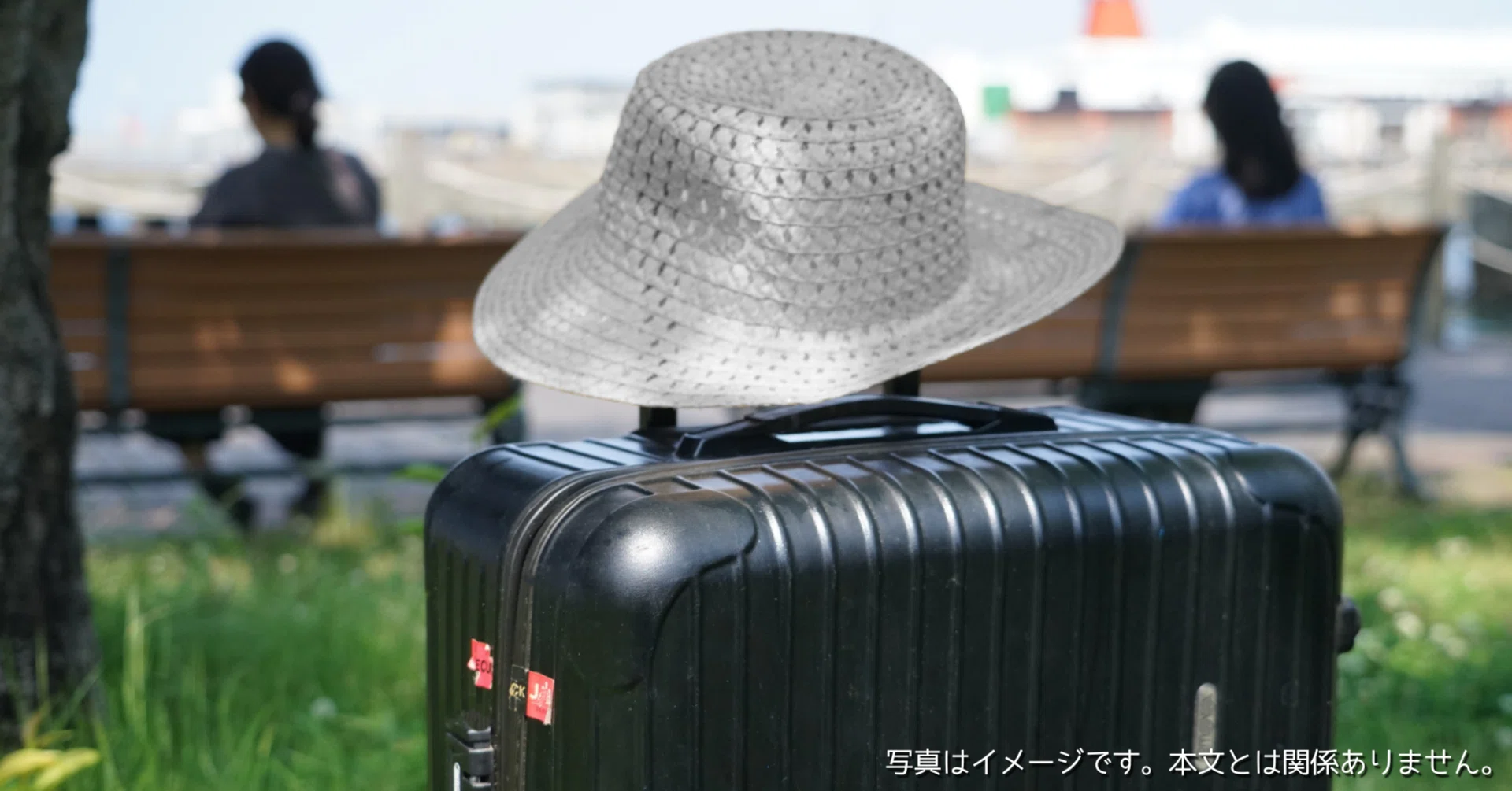 DIKA スーツケース Sサイズ 40L フロントオープン Amazon | [DIKA