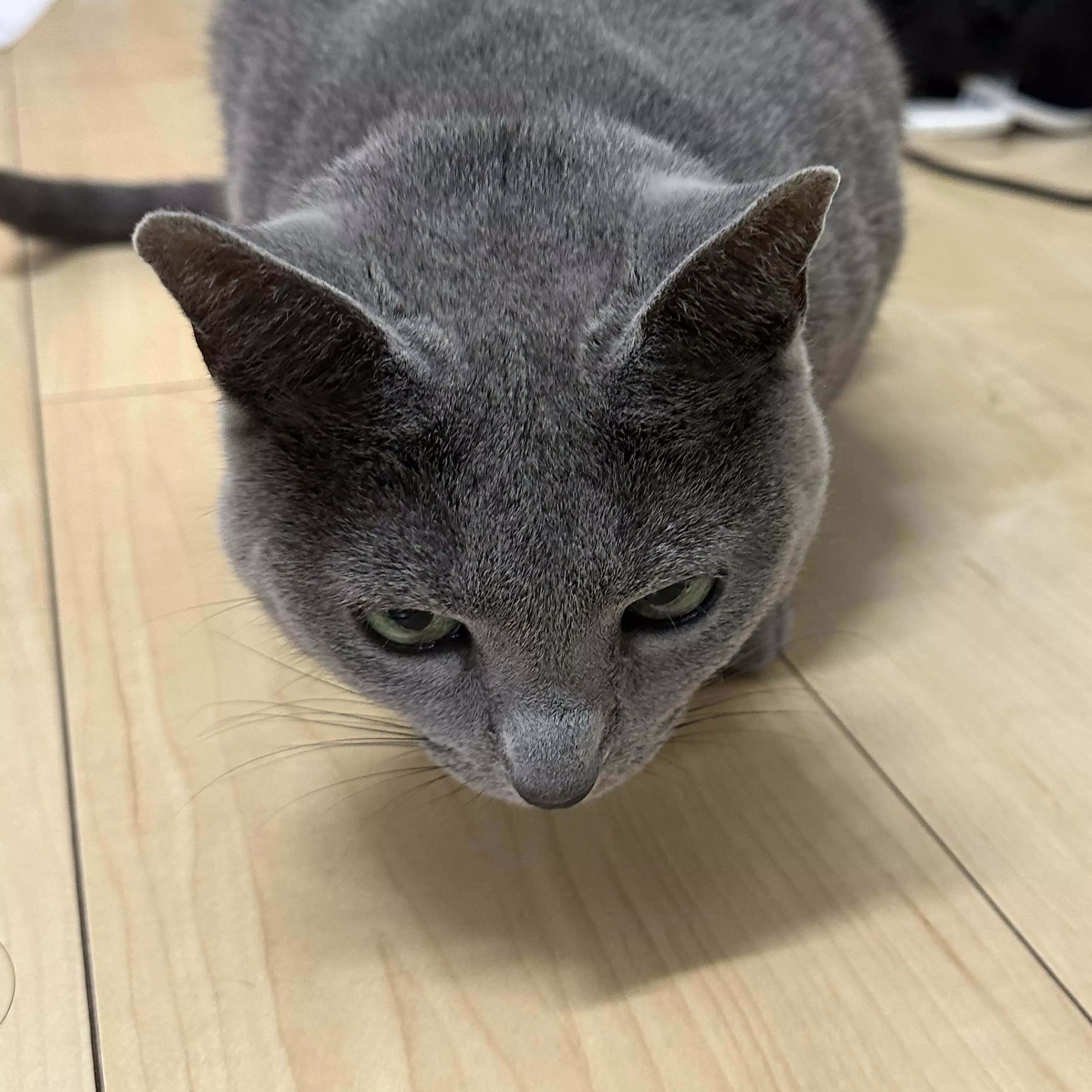 ちゃすみ