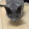 ちゃすみ