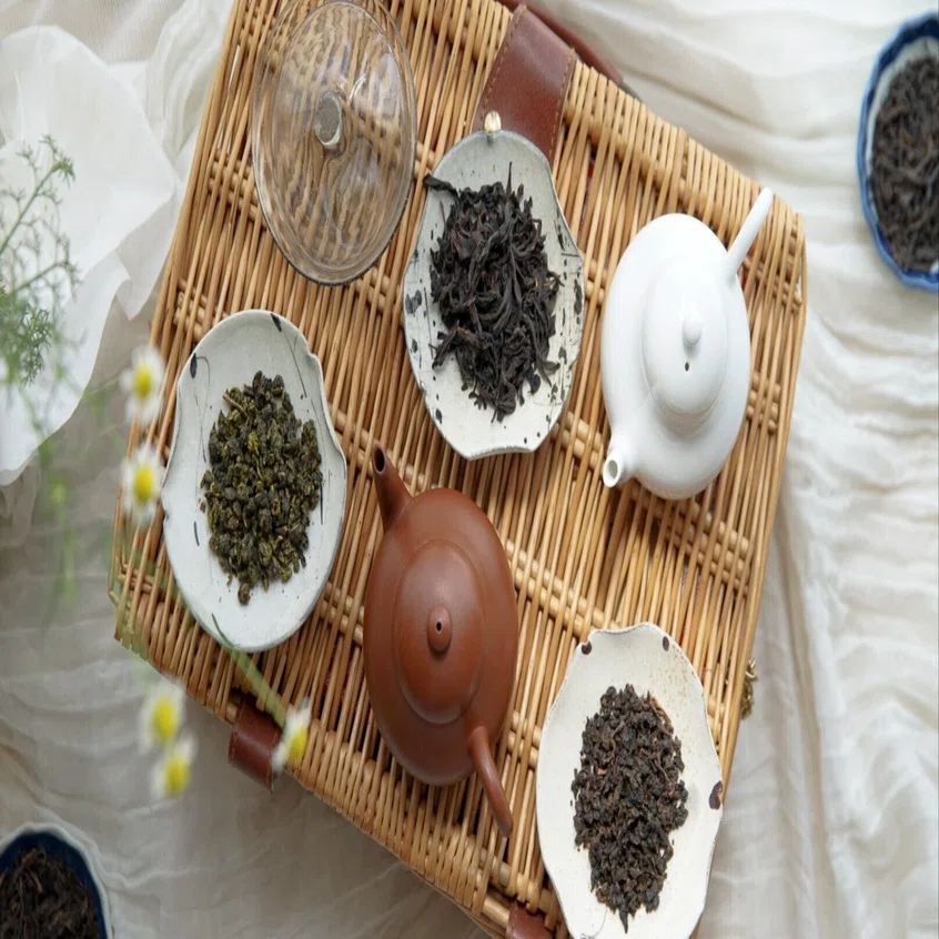 茶講座】茶の性格、器のことば──烏龍茶と茶器の相性探究講座