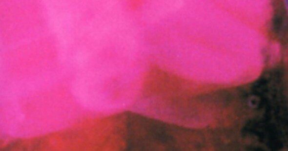 第1回】90年代シューゲイザーシーン。