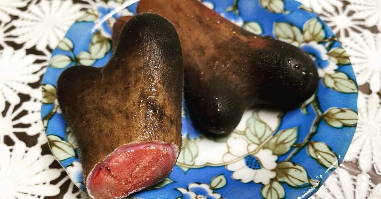 鹿茸の効き目とは？！｜きっとくらす